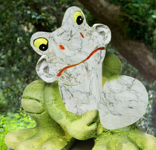 Creation of Toad: Step 5